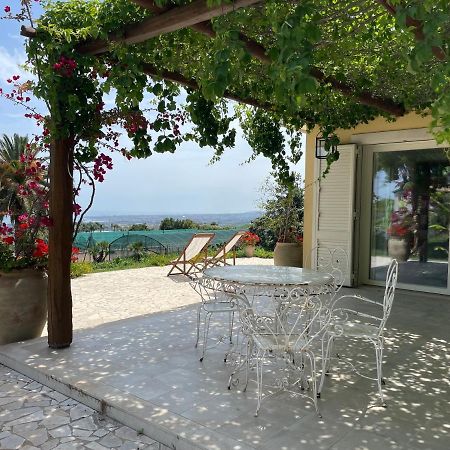 Villa Palm Hill بيديمونتي إتنيو المظهر الخارجي الصورة