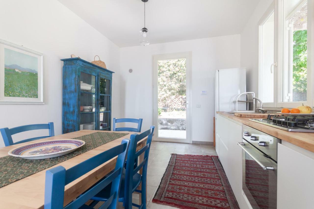 Villa Palm Hill بيديمونتي إتنيو المظهر الخارجي الصورة
