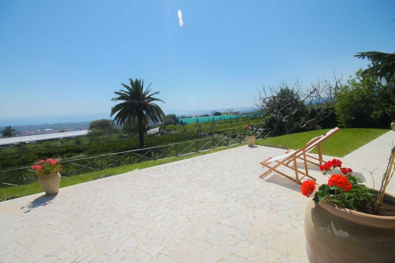 Villa Palm Hill بيديمونتي إتنيو المظهر الخارجي الصورة